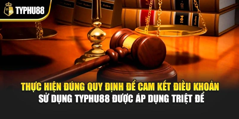 Thực hiện đúng quy định để cam kết điều khoản sử dụng Typhu88 được áp dụng triệt để